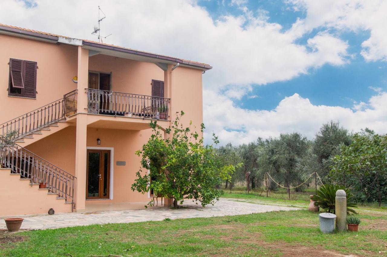 Villa Orta - Agriturismo Con Cucina Vegan, Plant-Based Farmhouse Riotorto Exterior photo